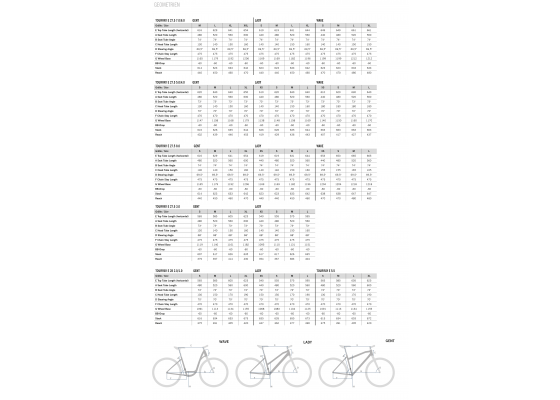 R Raymon TourRay E 3.0 9S Deore - Sähköretkipyörä - Image 4